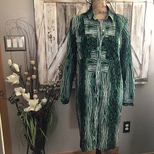 Stylish Derek Lam dress!